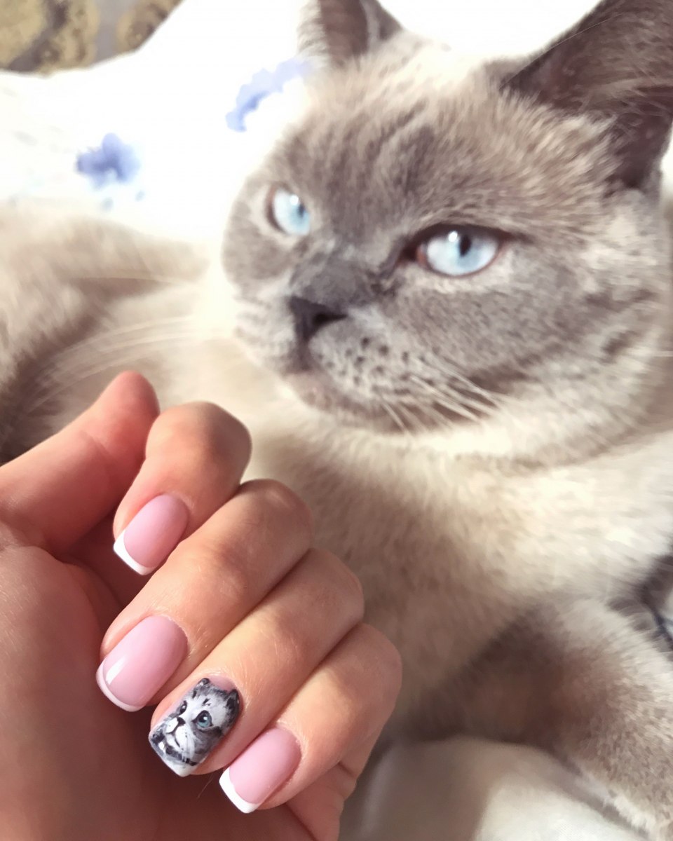 Розовый маникюр с котиком