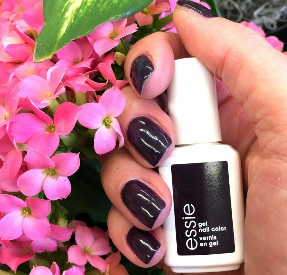 Zoya Trudith
