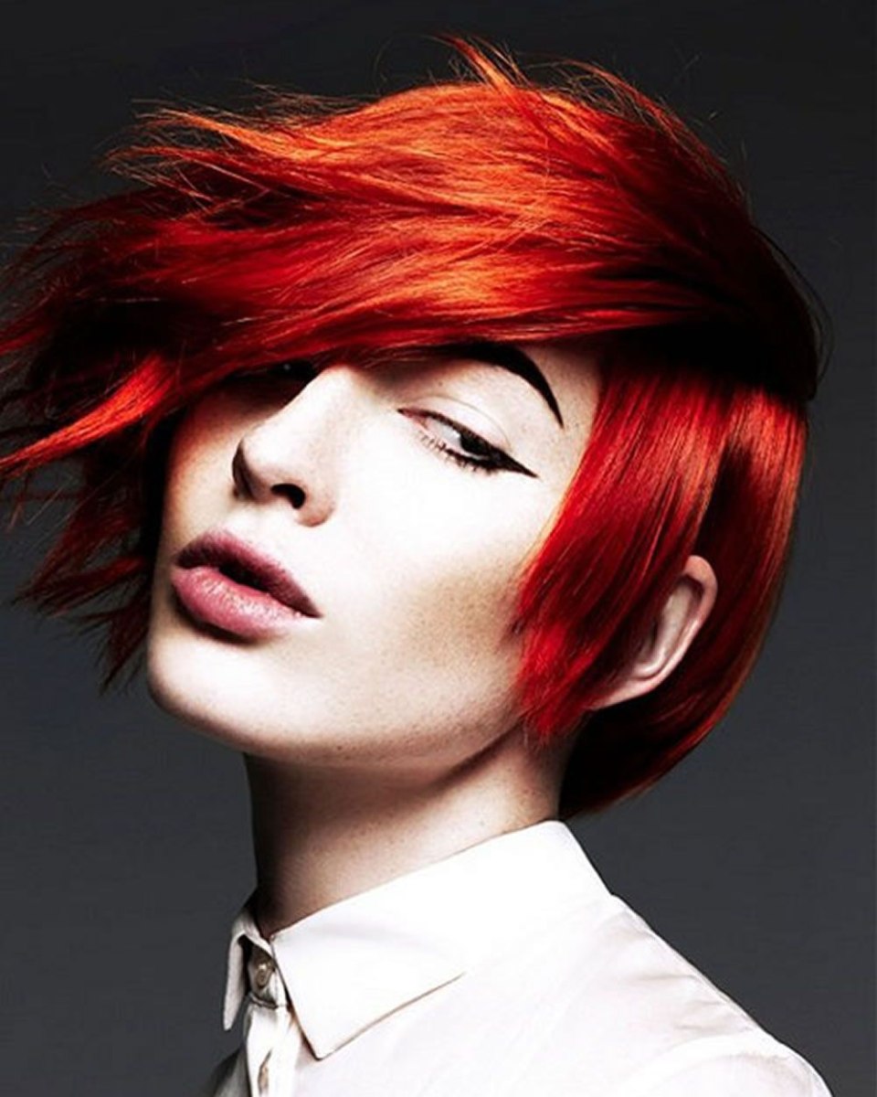 Pixie Bob стрижка красный