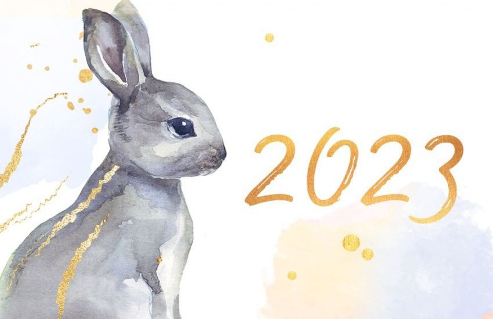 Год кролика 2023 рисунки