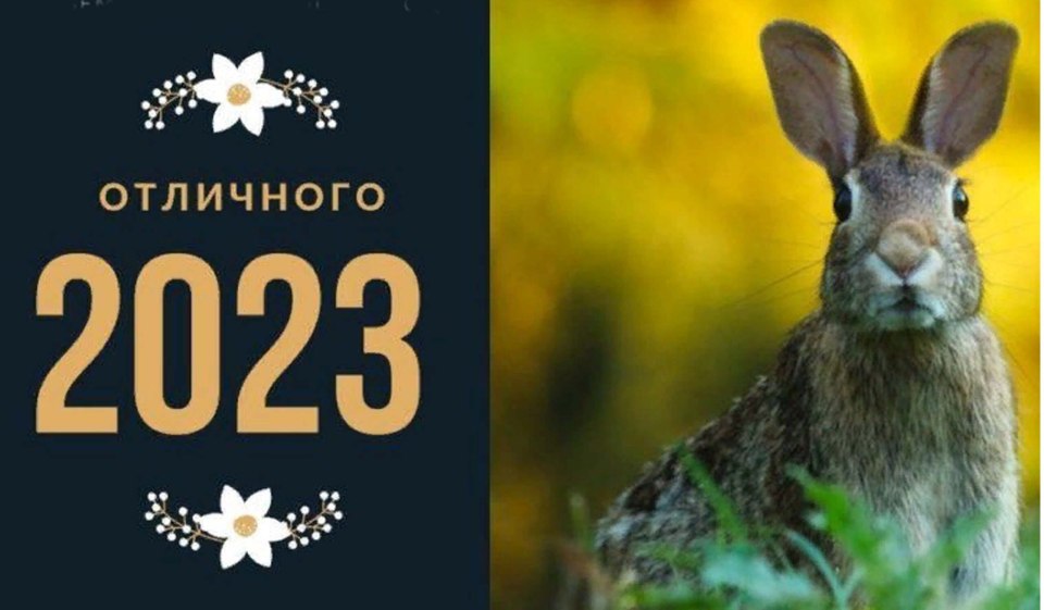 Открытка год кролика 2023