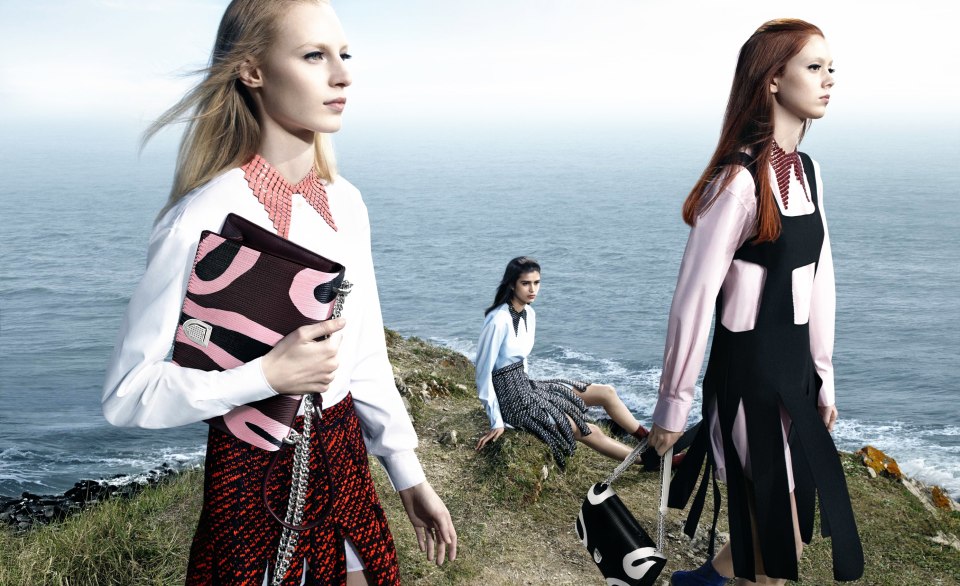 Dior компейн