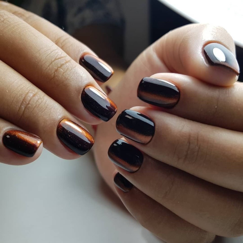 Shellac 2020-2021