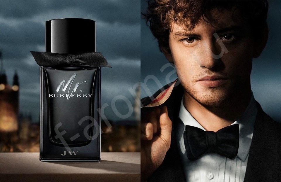 Mr Burberry Eau de Parfum