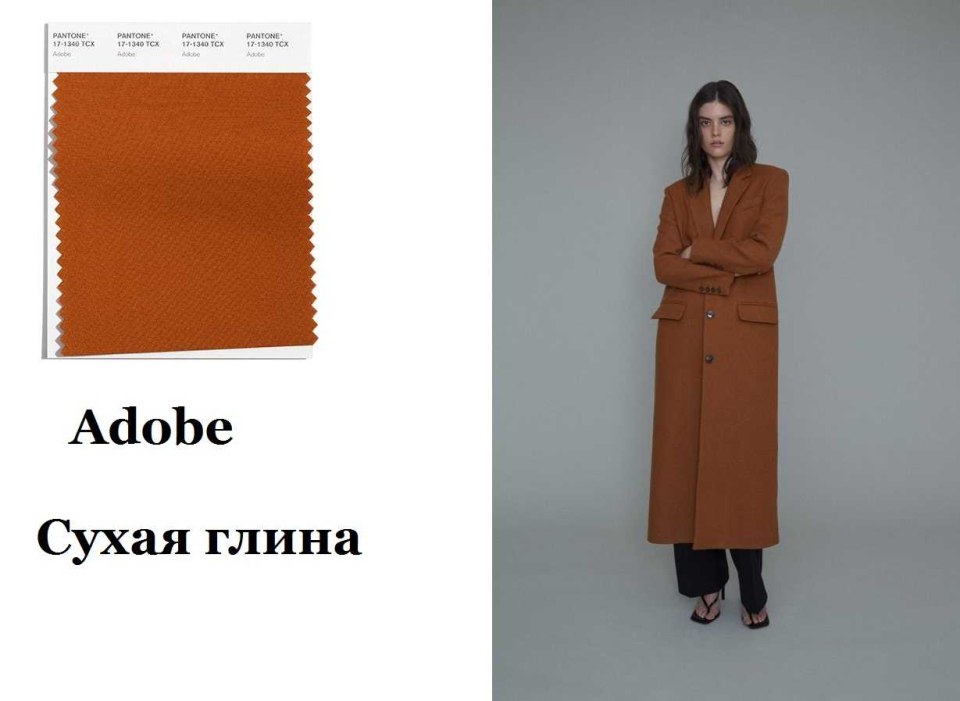 Пантон осень зима 2021 2022