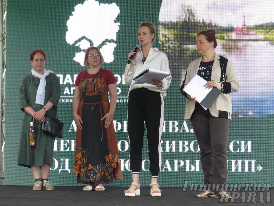 Арт фестиваль