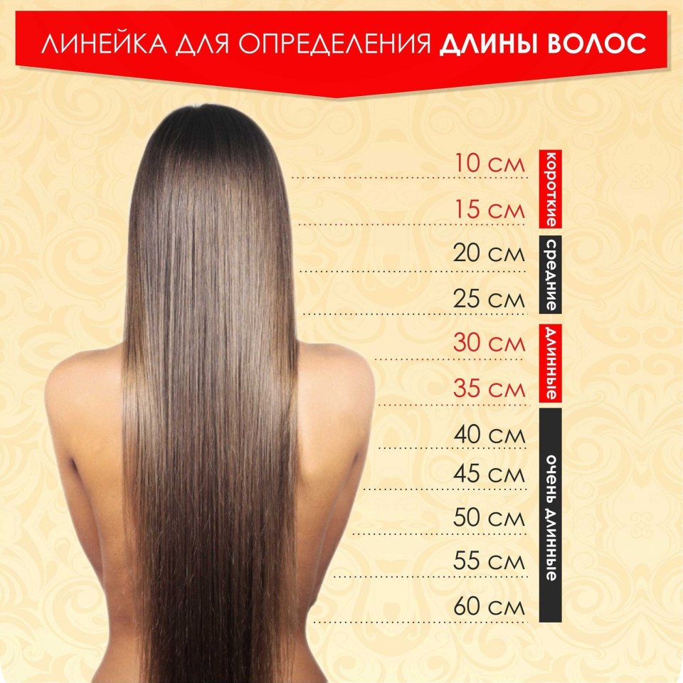 Длина волос в см