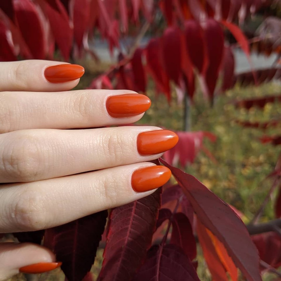 Осенние цвета ногтей