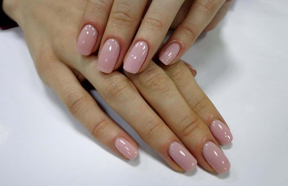 IBD Seashell Pink