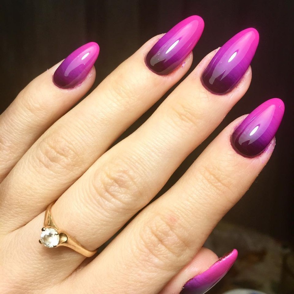 Shellac 2020-2021