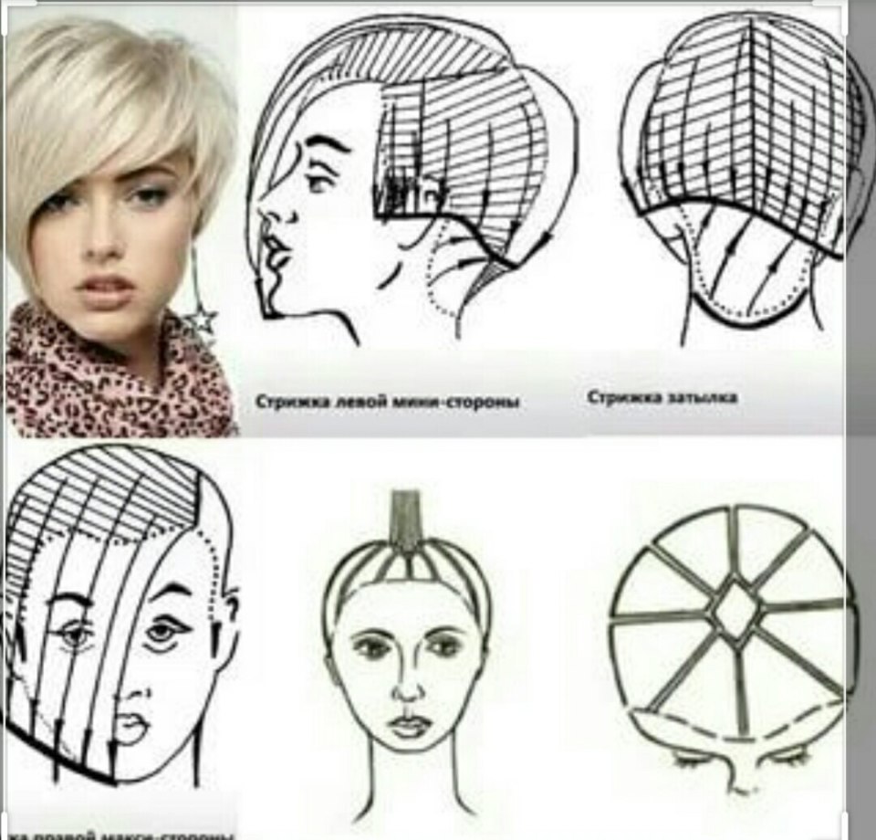 Схема стрижки градуированное каре