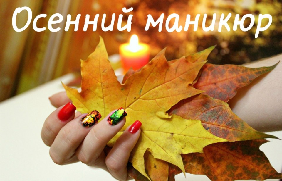Ногти на фоне осенних листьев