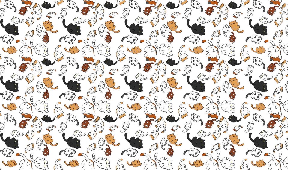 Фон кошки