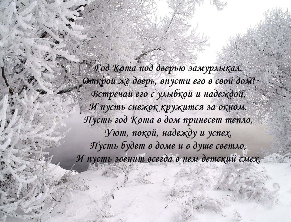 Женщина и зима стихи