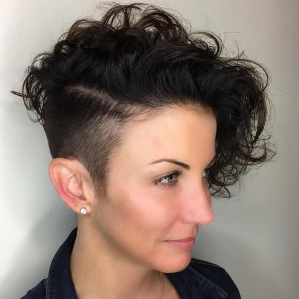 Pixie Bob ирокез